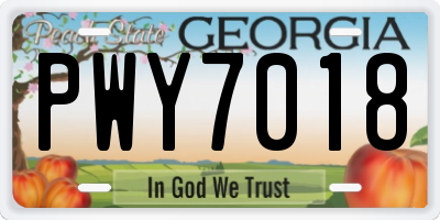 GA license plate PWY7018