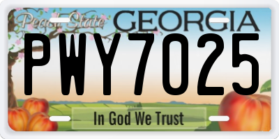 GA license plate PWY7025