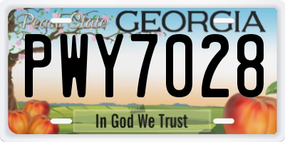GA license plate PWY7028