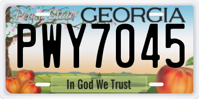 GA license plate PWY7045