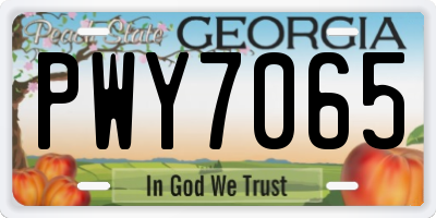 GA license plate PWY7065