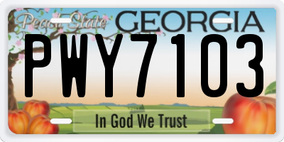 GA license plate PWY7103