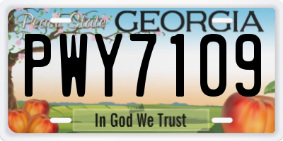 GA license plate PWY7109