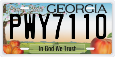 GA license plate PWY7110