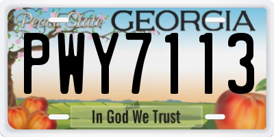 GA license plate PWY7113