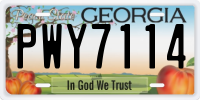 GA license plate PWY7114