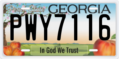 GA license plate PWY7116
