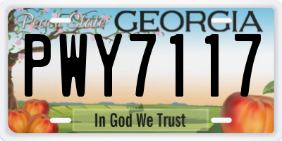 GA license plate PWY7117