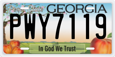 GA license plate PWY7119