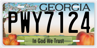 GA license plate PWY7124