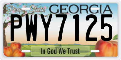 GA license plate PWY7125