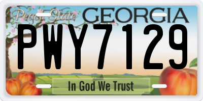 GA license plate PWY7129