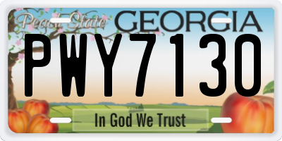 GA license plate PWY7130