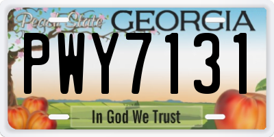 GA license plate PWY7131