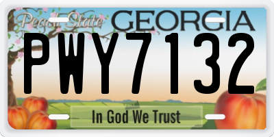 GA license plate PWY7132