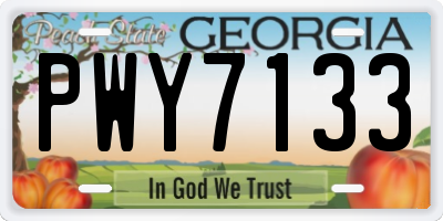 GA license plate PWY7133