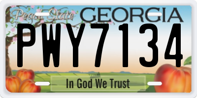 GA license plate PWY7134