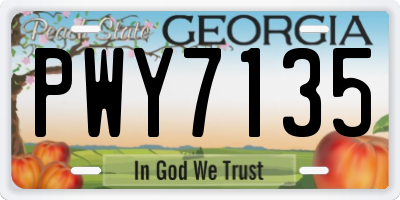 GA license plate PWY7135