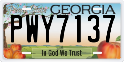 GA license plate PWY7137