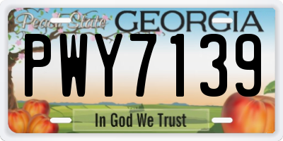 GA license plate PWY7139