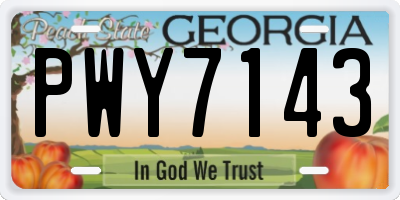 GA license plate PWY7143
