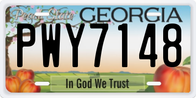 GA license plate PWY7148