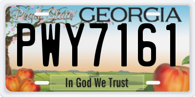 GA license plate PWY7161