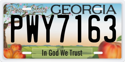 GA license plate PWY7163