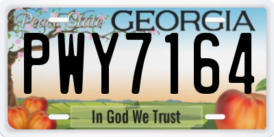 GA license plate PWY7164