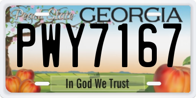 GA license plate PWY7167