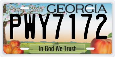GA license plate PWY7172