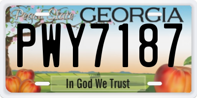 GA license plate PWY7187