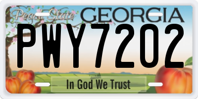 GA license plate PWY7202