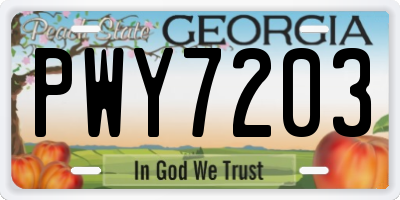 GA license plate PWY7203