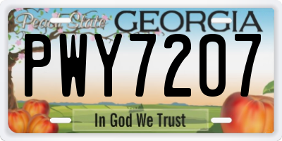 GA license plate PWY7207