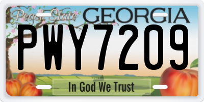 GA license plate PWY7209