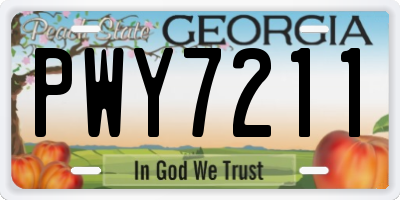 GA license plate PWY7211