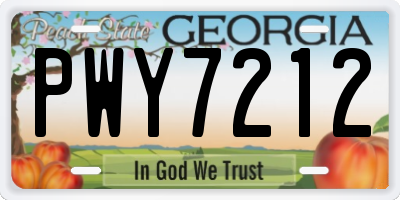 GA license plate PWY7212