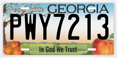 GA license plate PWY7213