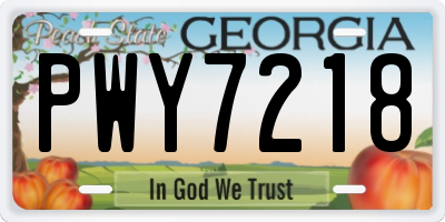 GA license plate PWY7218