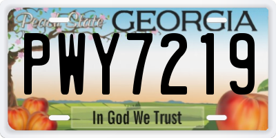 GA license plate PWY7219