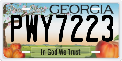 GA license plate PWY7223