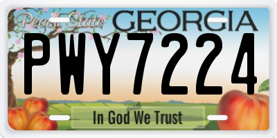 GA license plate PWY7224