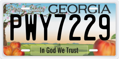 GA license plate PWY7229