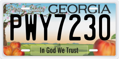 GA license plate PWY7230