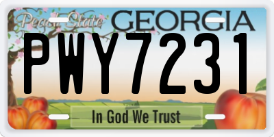 GA license plate PWY7231