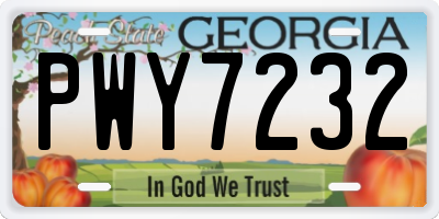 GA license plate PWY7232
