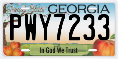 GA license plate PWY7233