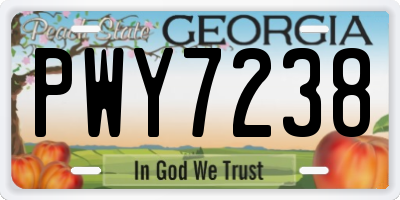 GA license plate PWY7238