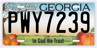 GA license plate PWY7239